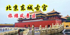 嗯啊，中出，颜射深喉，口交吞精，91麻豆中国北京-东城古宫旅游风景区